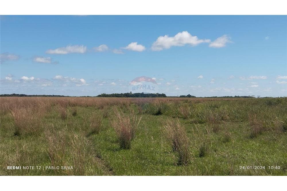 Especial para ganaderia vendo 270ha en ñeembucu estero kamba, foto 2