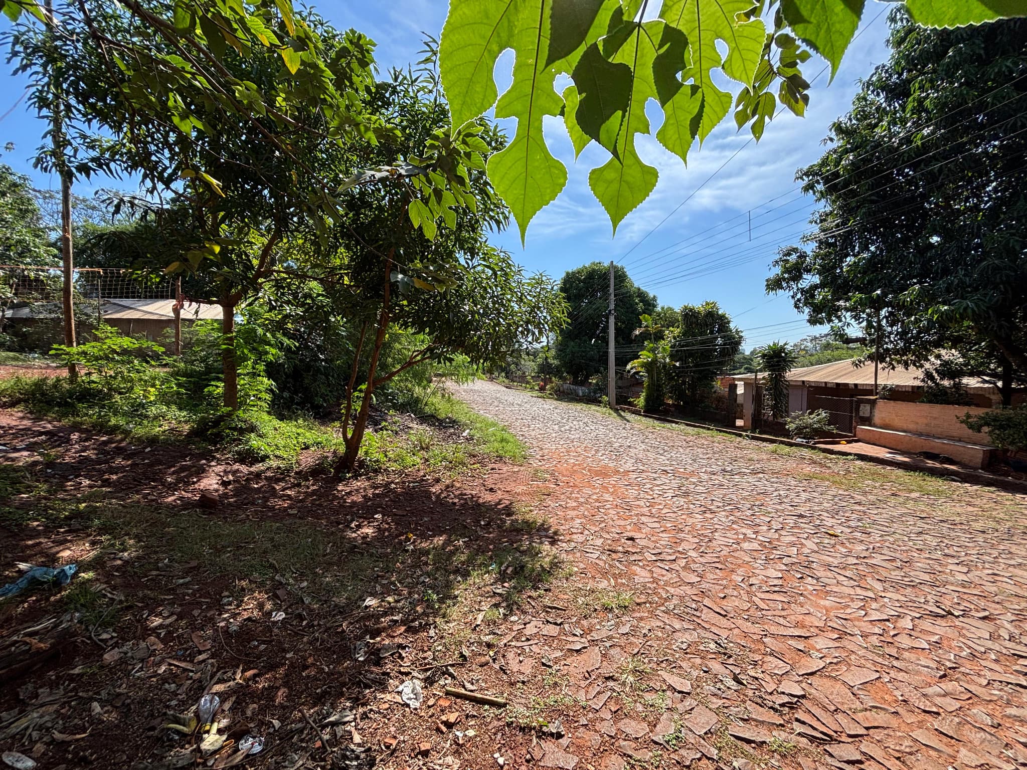 2 lotes juntos en presidente franco — foto 3