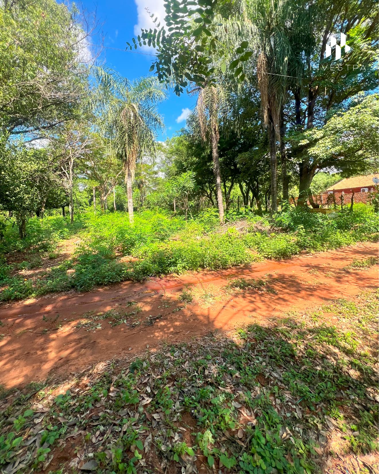Terrenos económicos en Luque - Marín Ka’aguy, foto 2