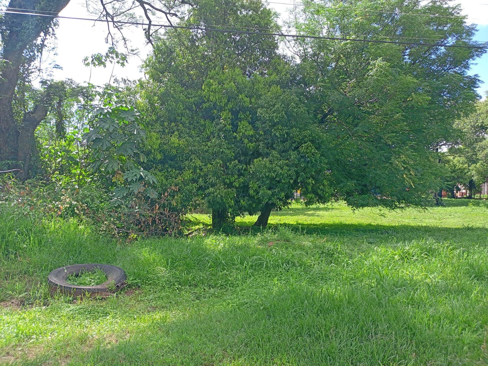 Terreno en oferta en San Lorenzo, foto 4
