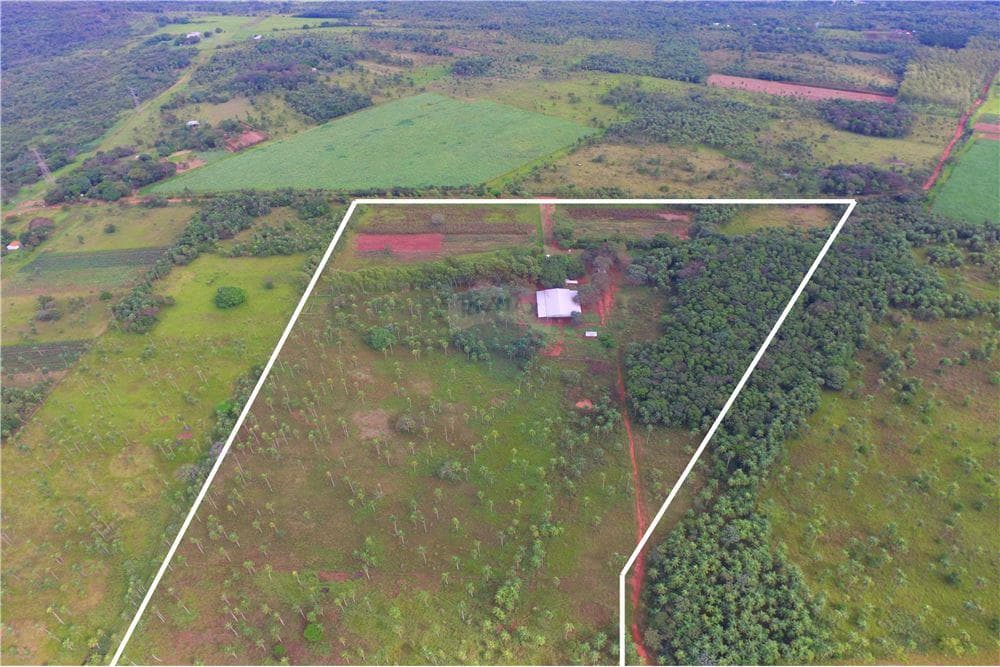 Estancia de 50 hectareas en piribebuy, foto 5