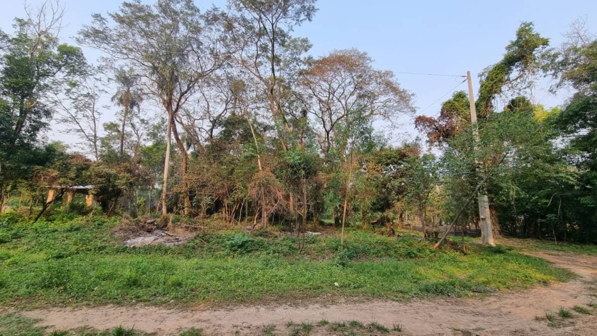 Terrenos en ciervo cua San Bernardino — foto 4