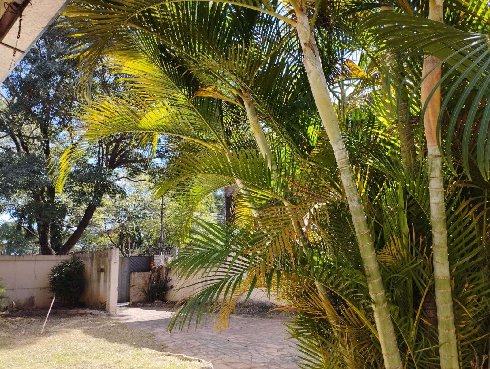 Sobre La Avda Gral Santos — foto 3