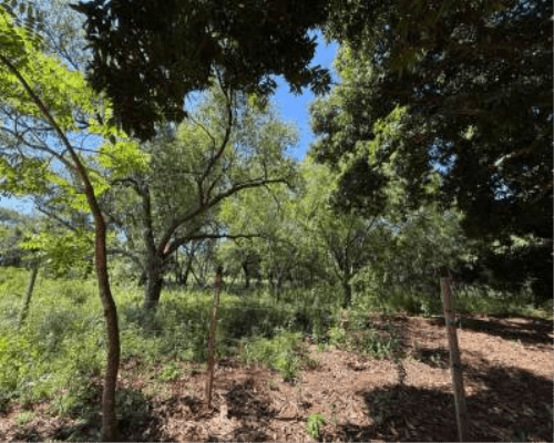 En venta amplio terreno en Luque