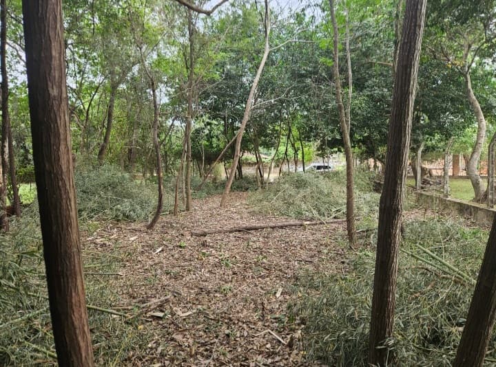 de Terreno en San Bernardino, foto 2