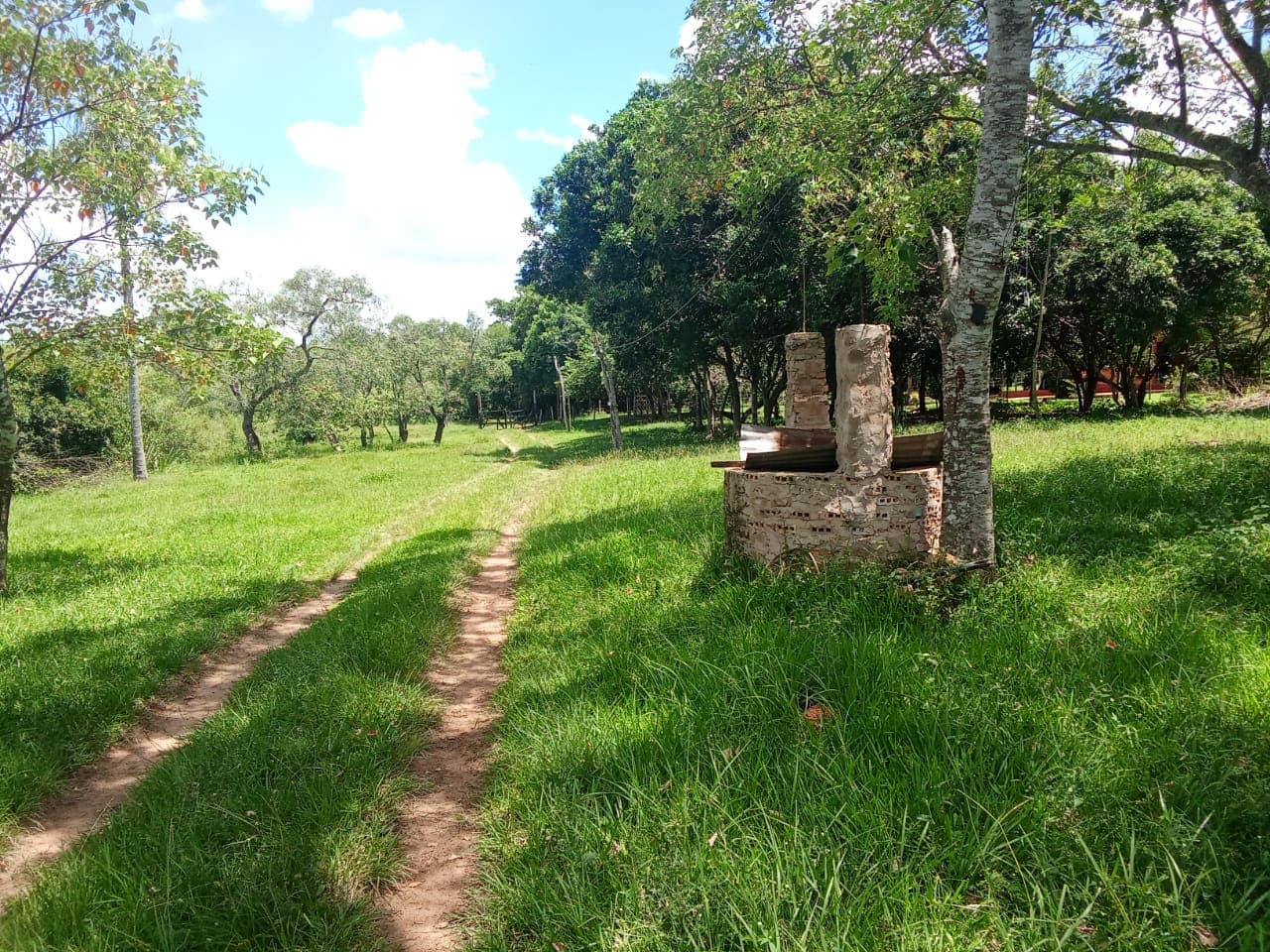 ???? Vendo hermosa propiedad de 16 hectáreas en barrero grande -eusebio ayala, foto 2