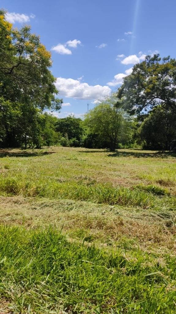 En venta hermoso terreno en Limpio, foto 2