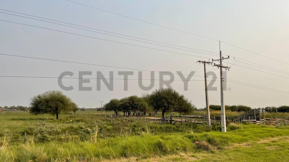 VENDE Estancia en Benjamín Aceval — foto 4