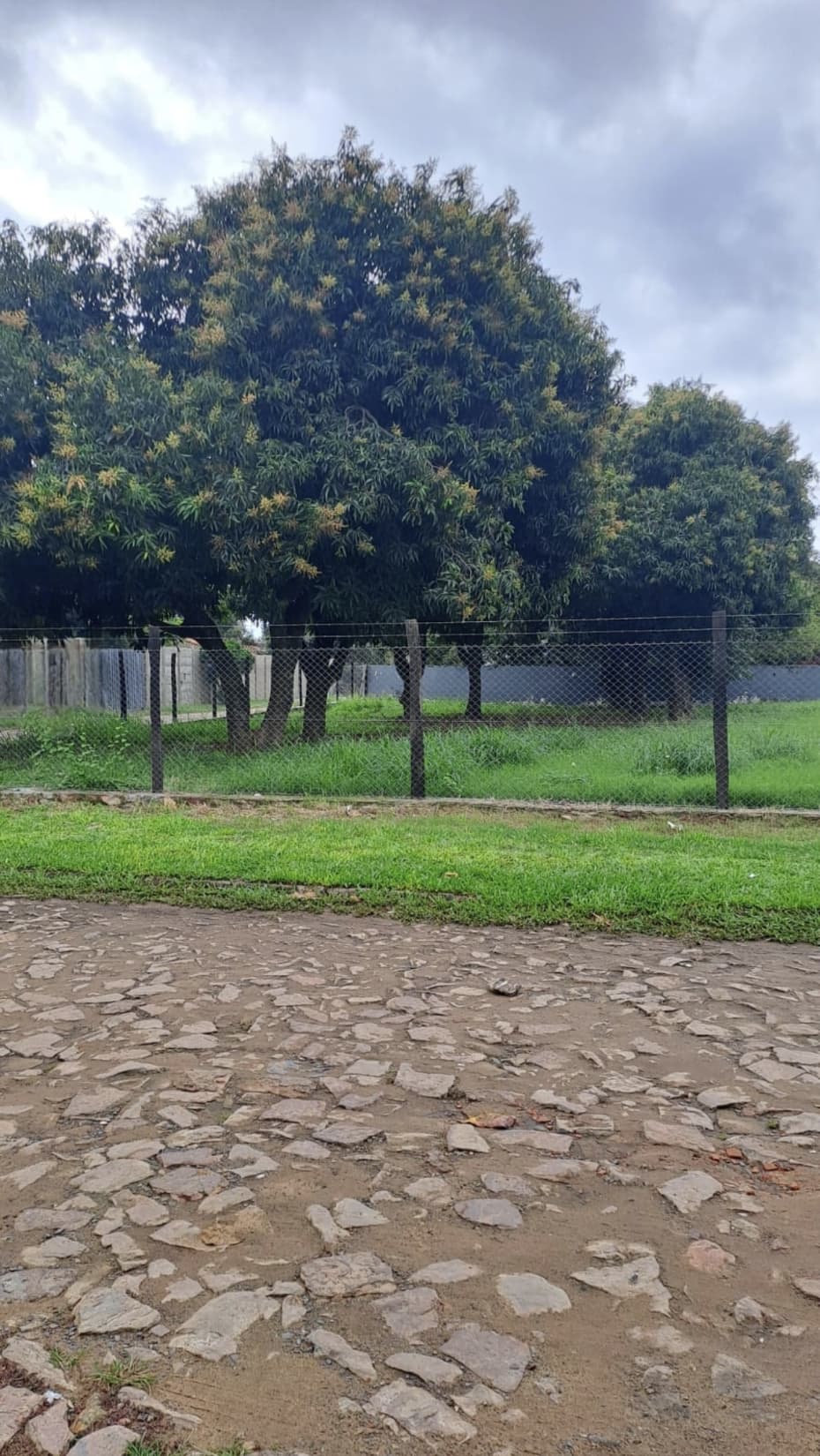Amplia propiedad con excelente ubicación en Asunción