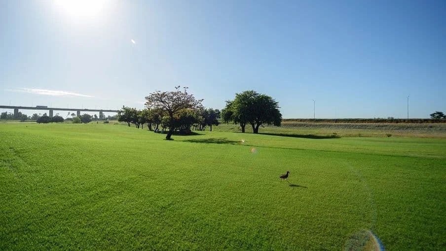 Lotes en venta en barrio norte - tosa — foto 3