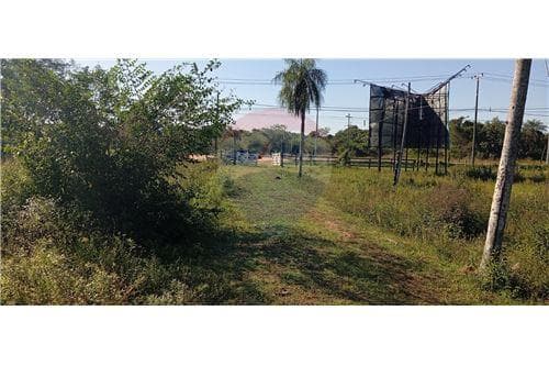 Terreno - Venta - Paraguay Central 15 hectáreas en venta - Ruta Luque Sanber, foto 3