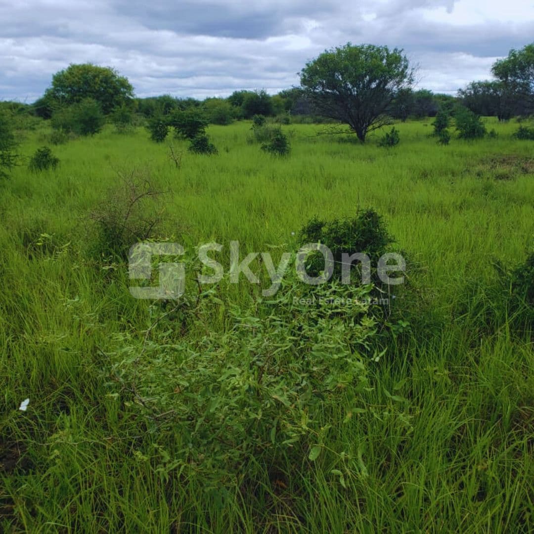 PROPIEDAD EN EL CHACO Dpto. de Alto Paraguay, zona Tte. Martínez — foto 5