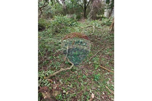 Terreno en venta, la colmena, foto 3