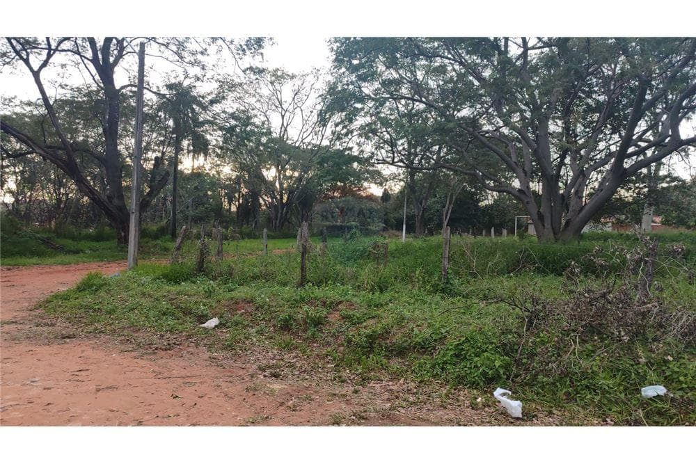 Dos terrenos en esquina en Villa Elisa — foto 1