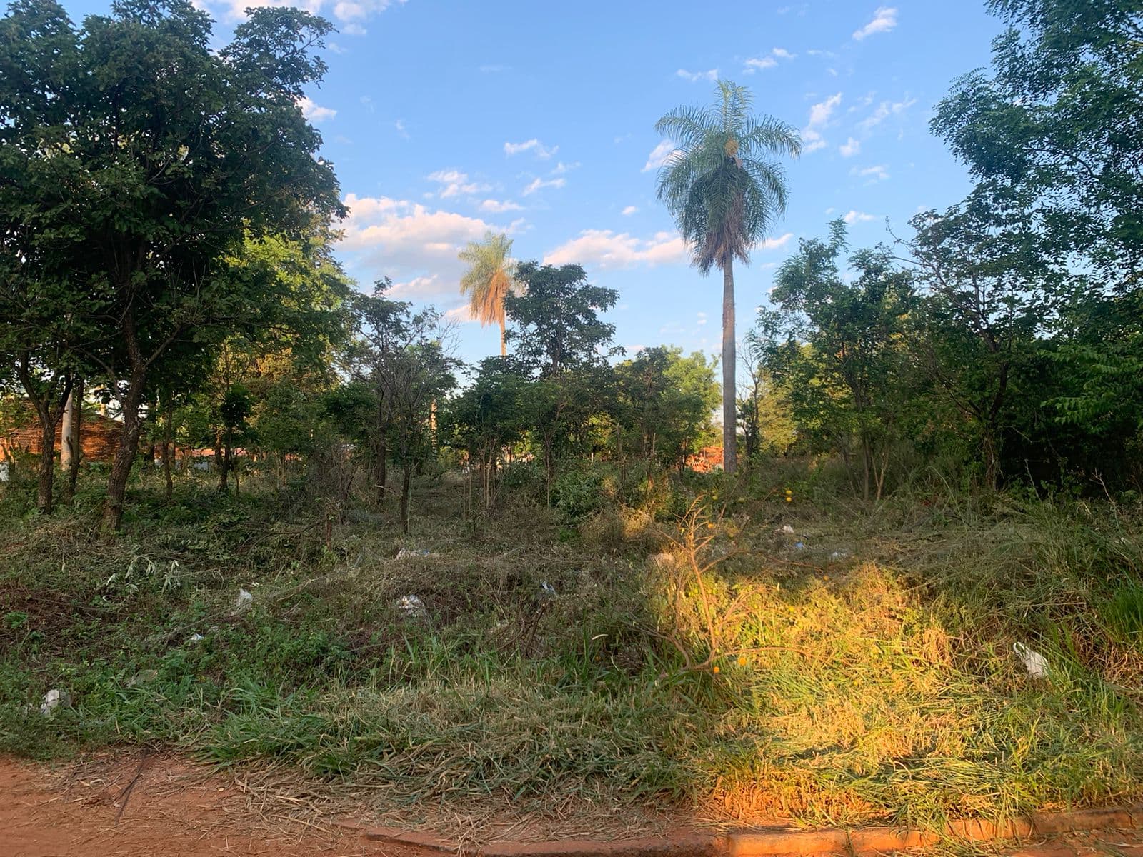 Terreno En Luque, foto 2