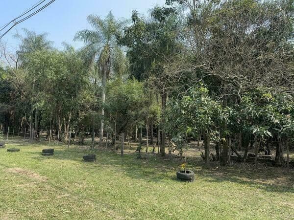En venta terreno en esquina de 67,236 m2 en barrio colon San Bernardino