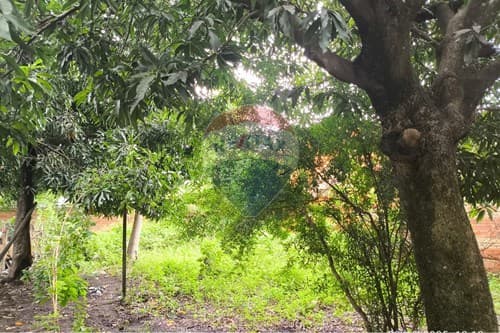 Vendo terreno en limpio