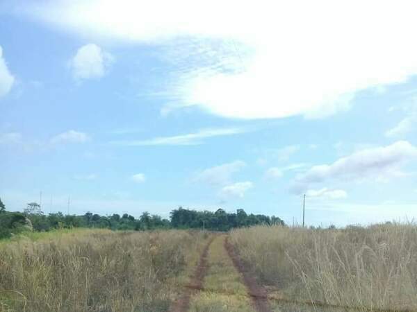 Propiedad en venta de 41 ha en pdte franco, foto 5