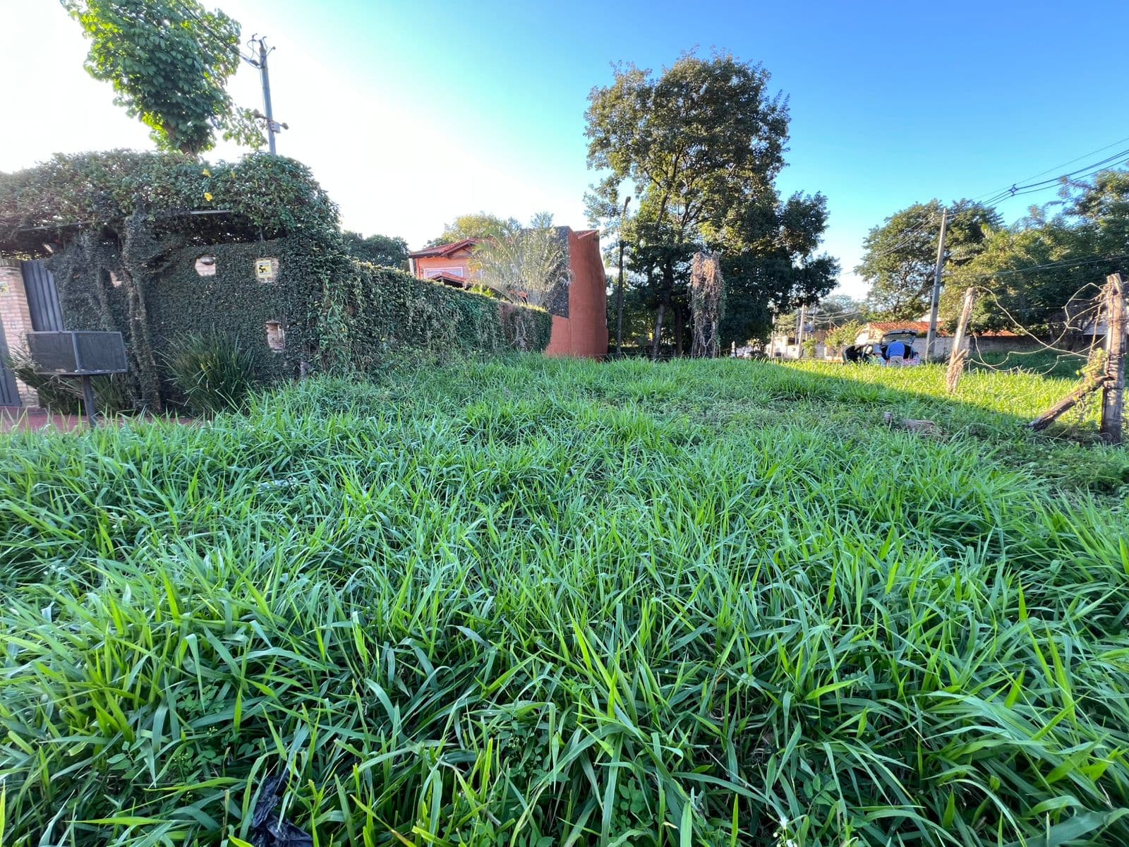 Terreno en esquina (Luque) — foto 5