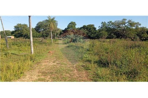 Terreno - Venta - Paraguay Central 15 hectáreas en venta - Ruta Luque Sanber, foto 5