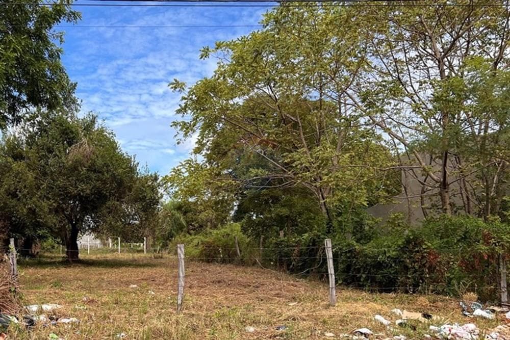 Terreno de 624 m2 en Jardín De Oro Luque, foto 4