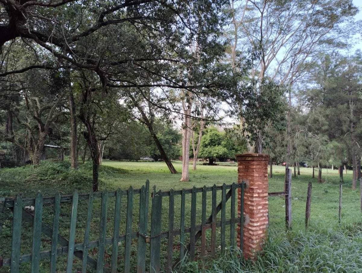 Terreno en Luque, foto 4