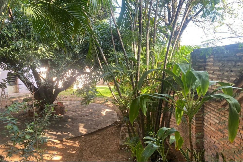 Terreno con Alto Potencial, foto 5