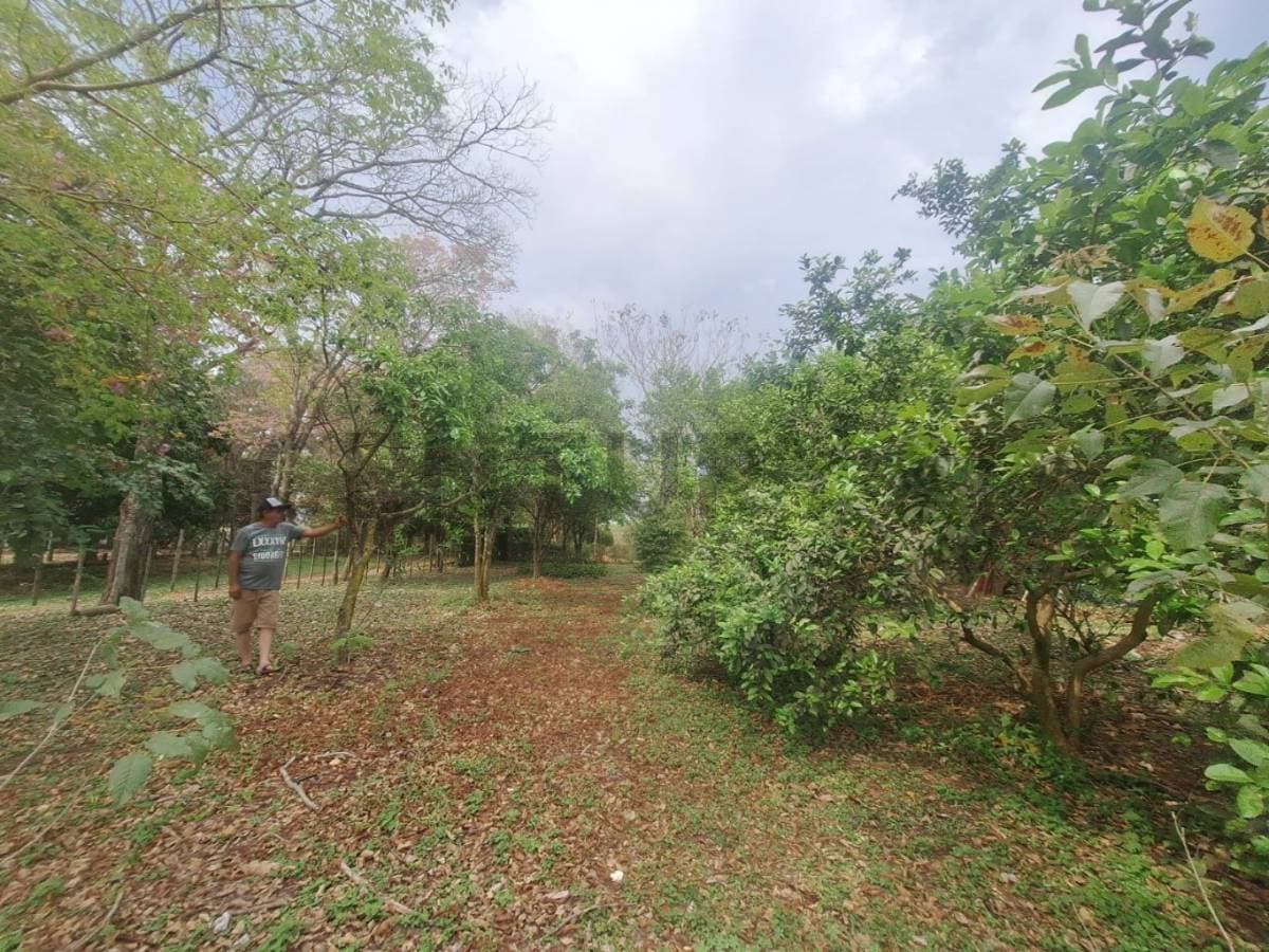 amplio terreno en Caacupe, foto 4