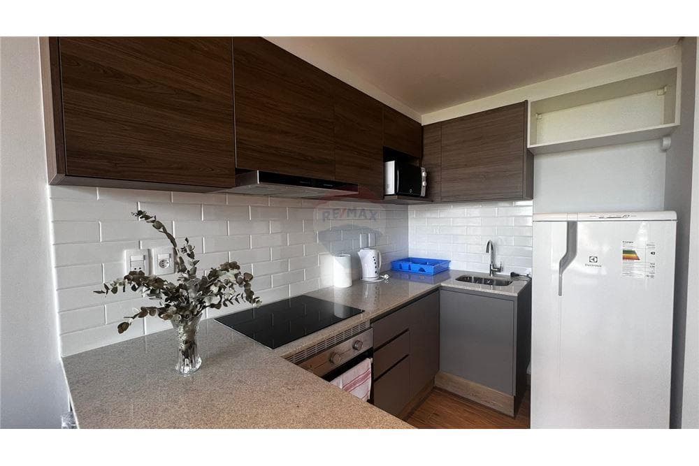 Dpto amoblado de 1 dorm.edif. Hassler — foto 5