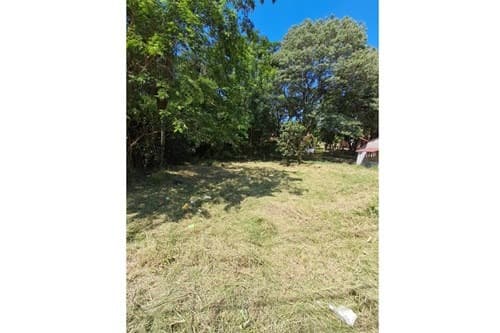 Terreno en venta ruta Luque-sanber, foto 3