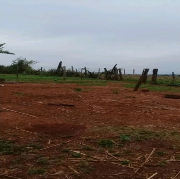 Campo de 63 Hectáreas en Alto Paraná, Los Cedrales-CLCS5607358, foto 1