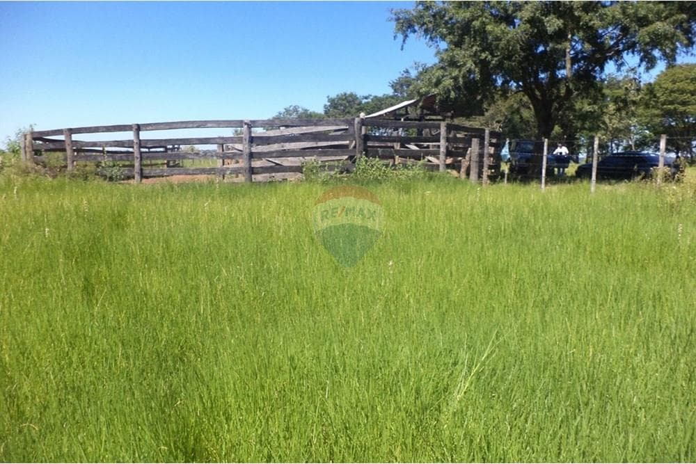 Estancia Ganadera de 72 HA en Isla Pucú - A 80km de Asunción, foto 2