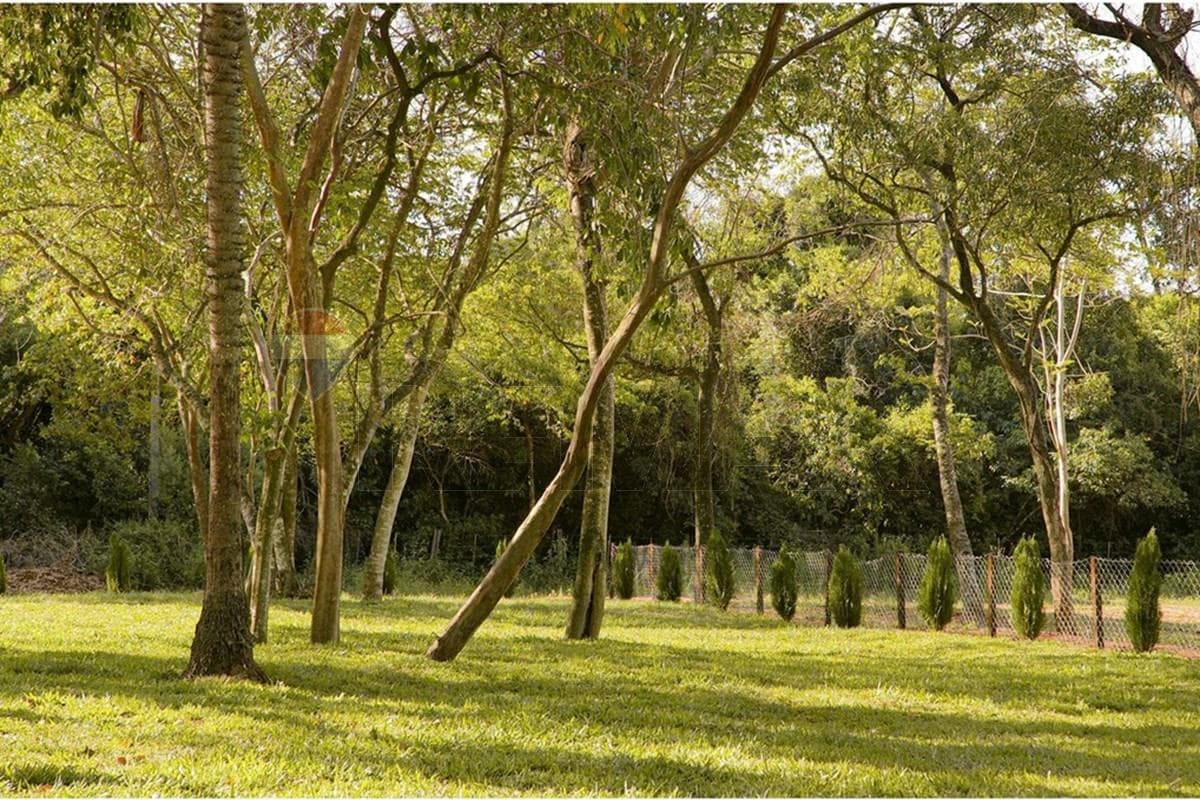 Terreno en aregua - forest, foto 2