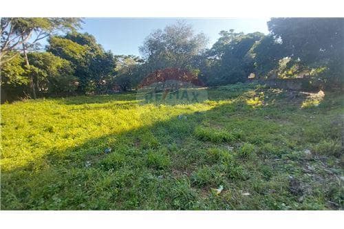 Amplio Terreno en la ciudad de Lambaré, foto 4