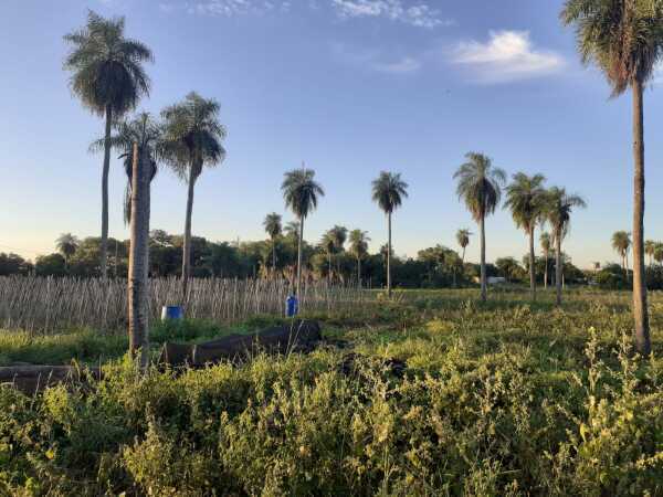 ⚠️Terreno en venta en VILLETA!, foto 5