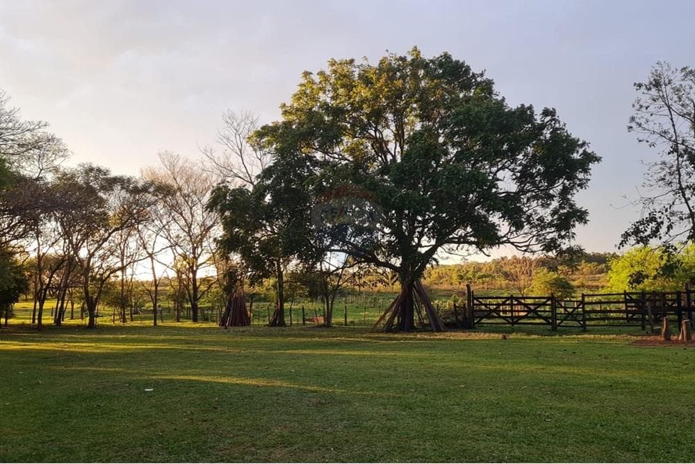 Terreno campo venta San Ignacio Misiones 7505m2, foto 1