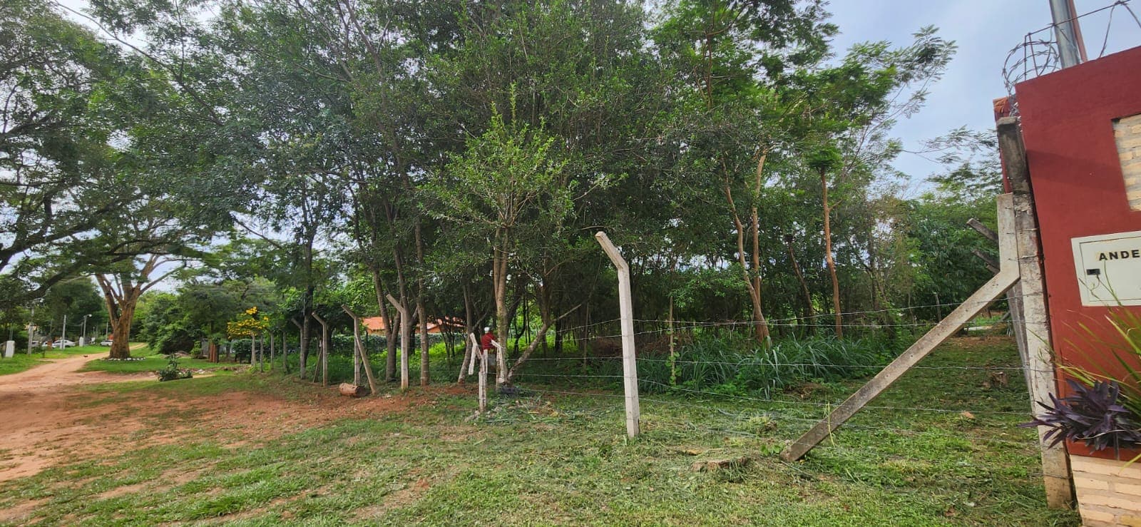 Terreno en caacupemi - aregua, foto 4