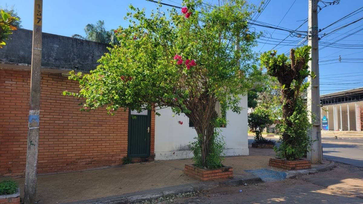 Terreno con casa a demoler- Santísima Trinidad. (Eje Habitacional 5.8), foto 4