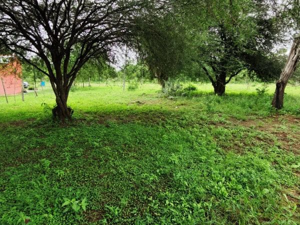 Terreno en chaco'i nueva Asunción, foto 5
