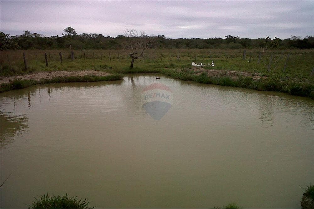 Estancia formada de 77 ha en san pedro!, foto 3