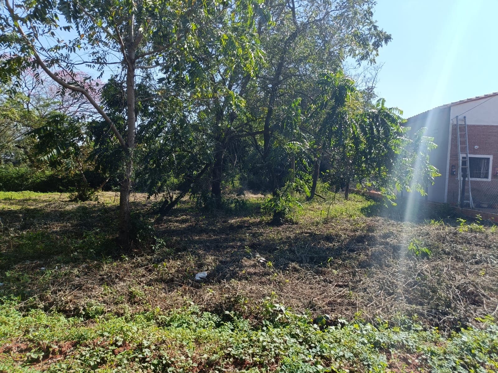 Terreno en venta en la cuidad de Ñemby, foto 4
