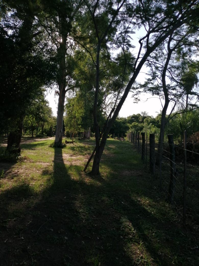 Hermosa Vivienda, Casa Quinta Estilo Campo En Loma Grande Cordillera — foto 4