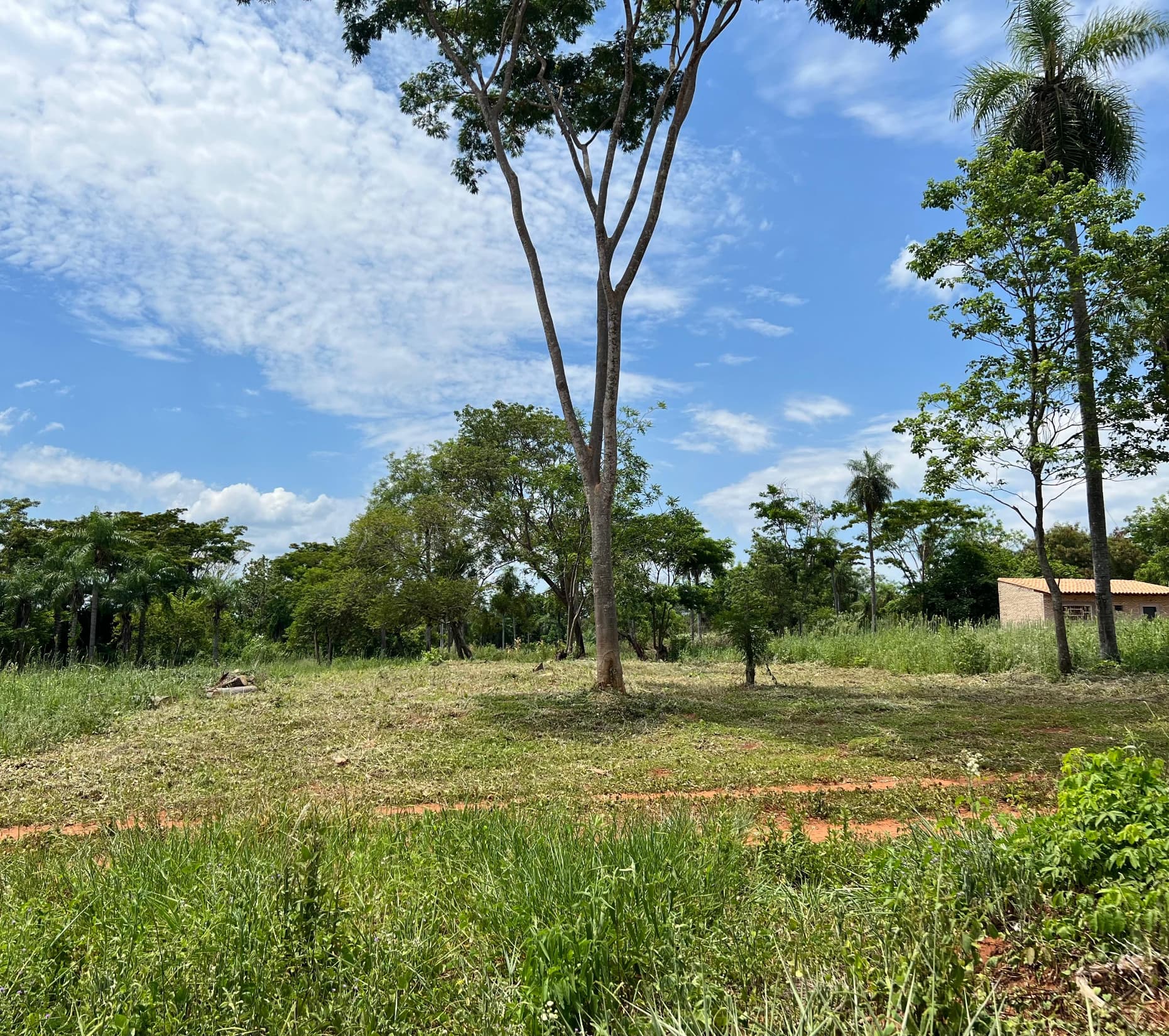 venta de Terreno- Capiatá Naranjaty