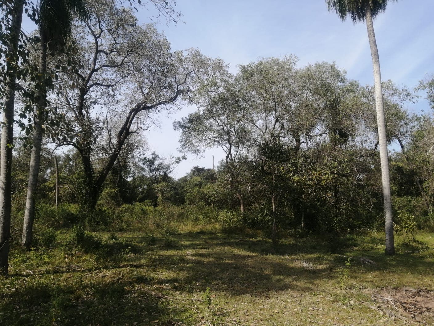 Terreno San Bernardino - zona ciervo cua, foto 1