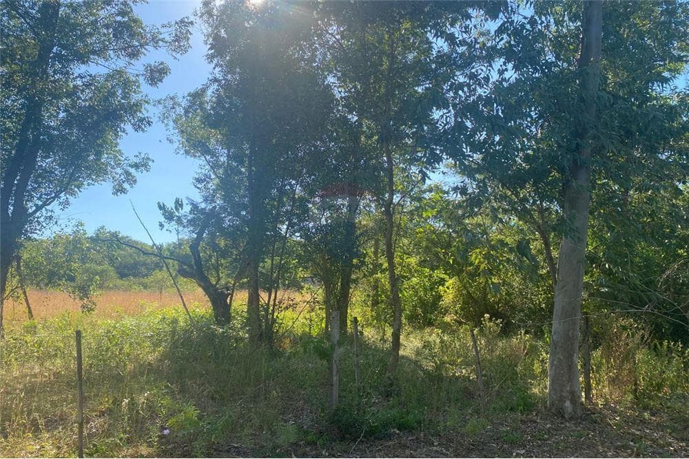 Hermoso Terreno En Sam Bernardino, foto 5