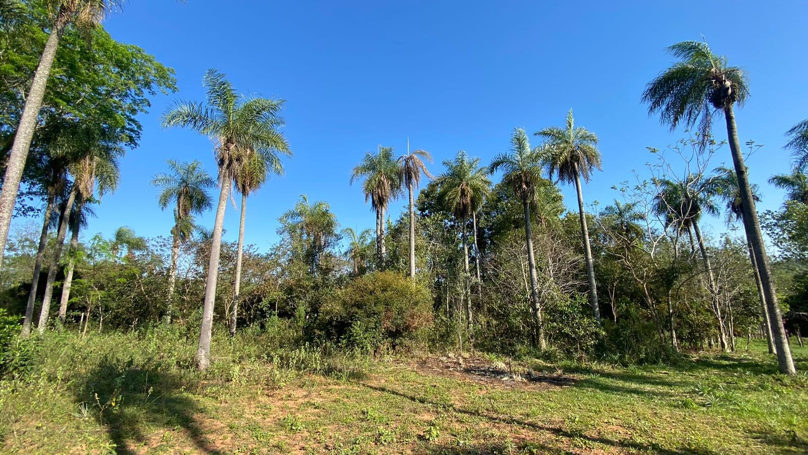 Terreno Z/ Ruta Altos Atyra, foto 2