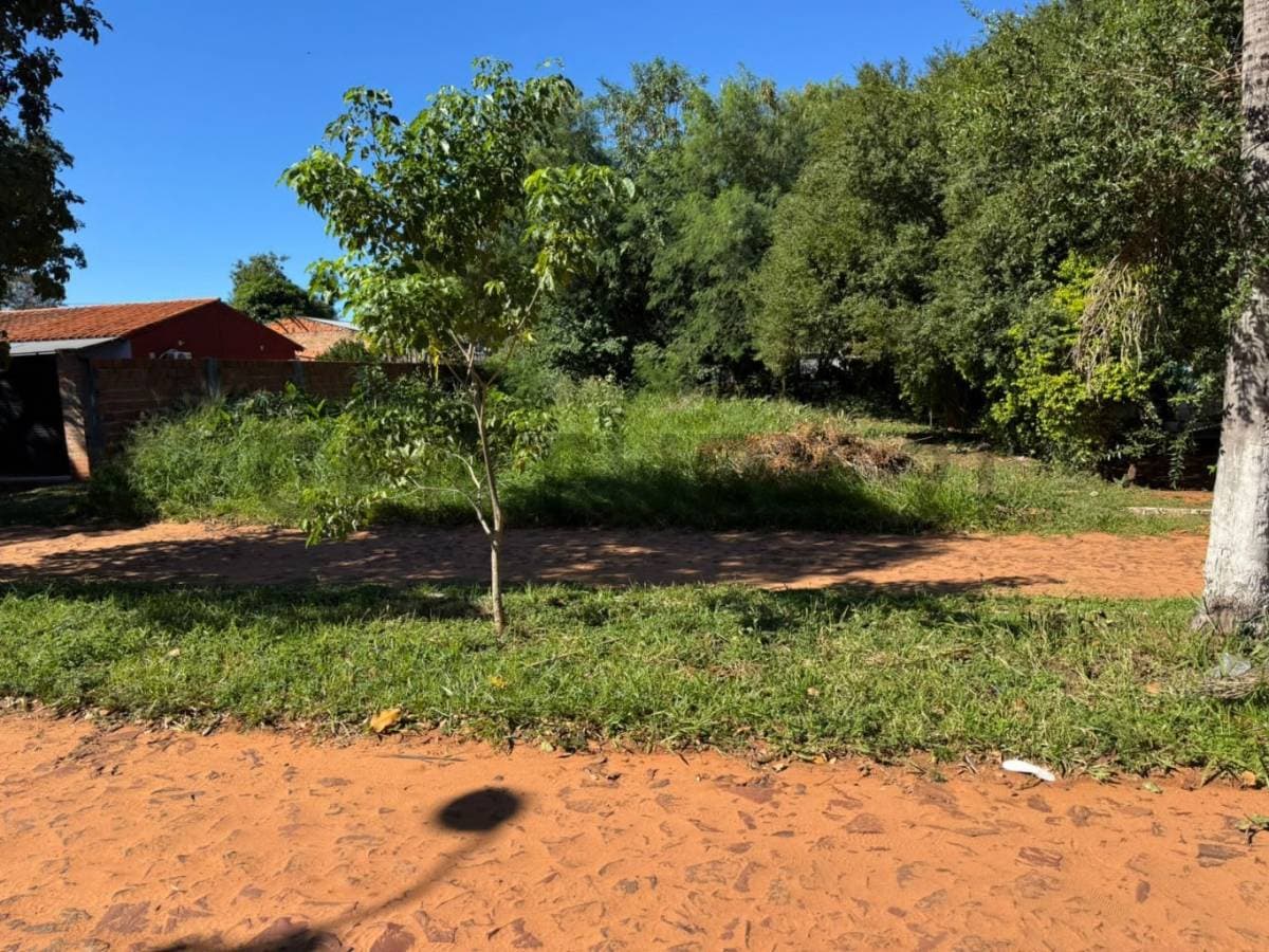 Terreno en Luque, foto 3