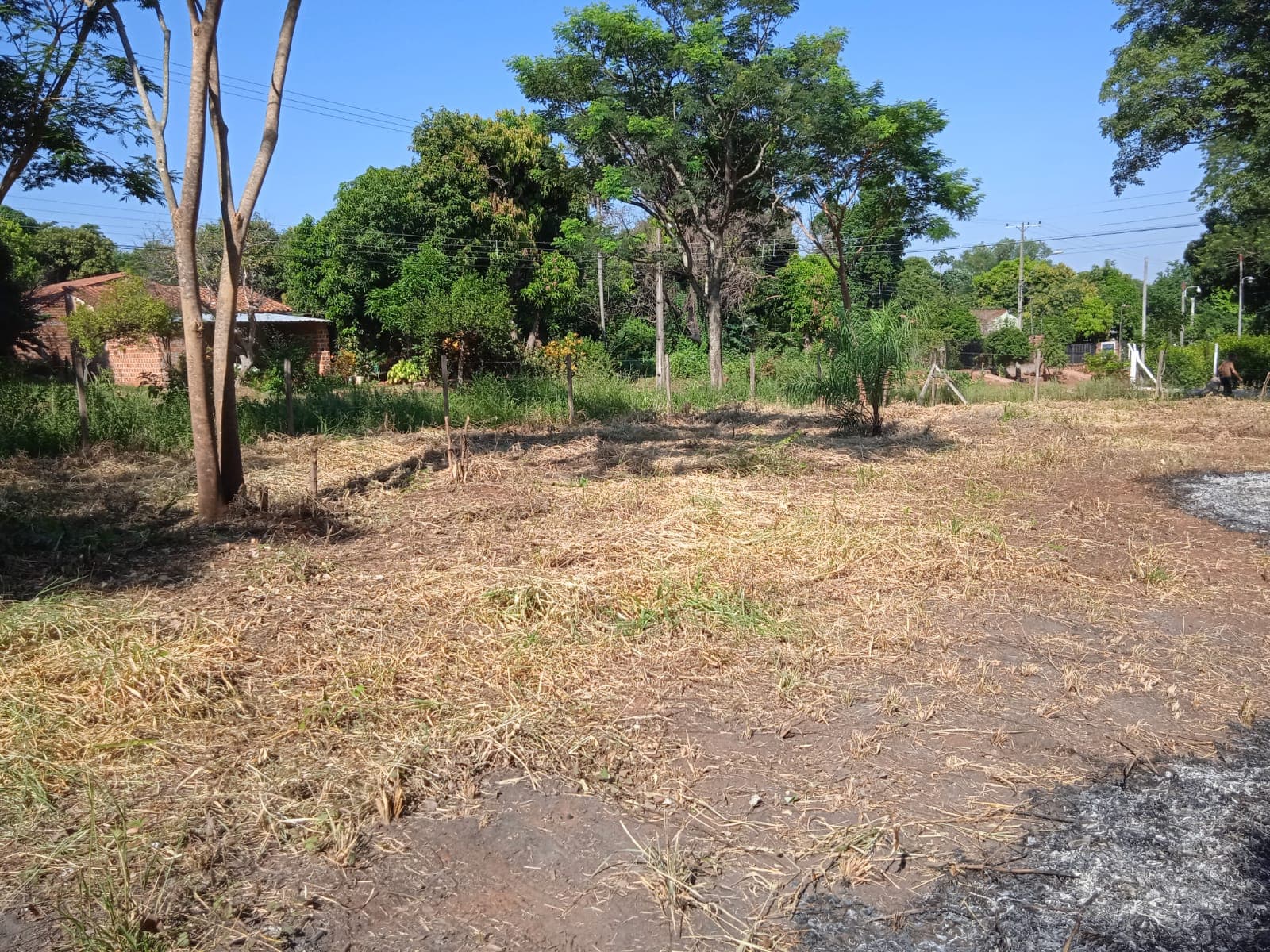 Terreno - ypane, foto 1