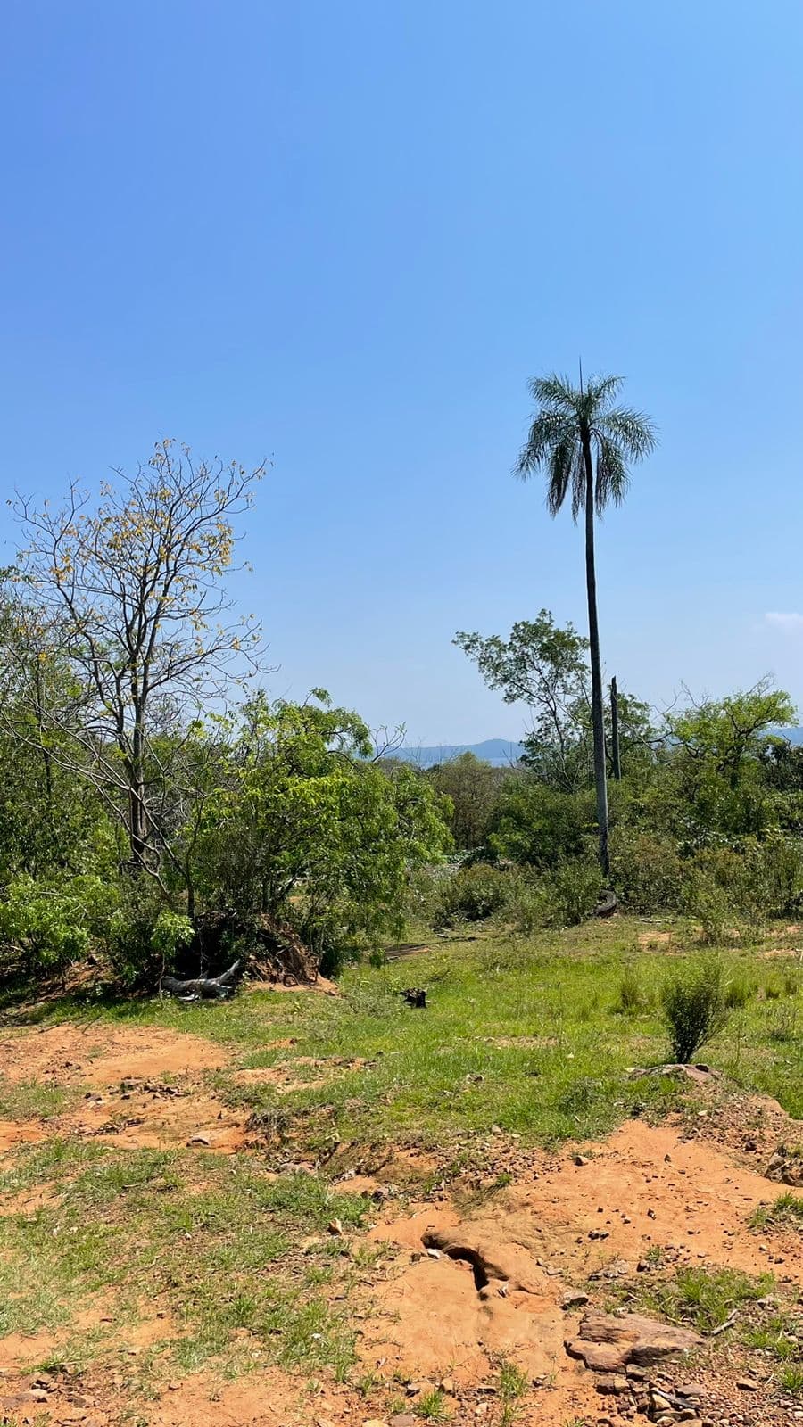 lotes con vista al lago San Bernardino, foto 4
