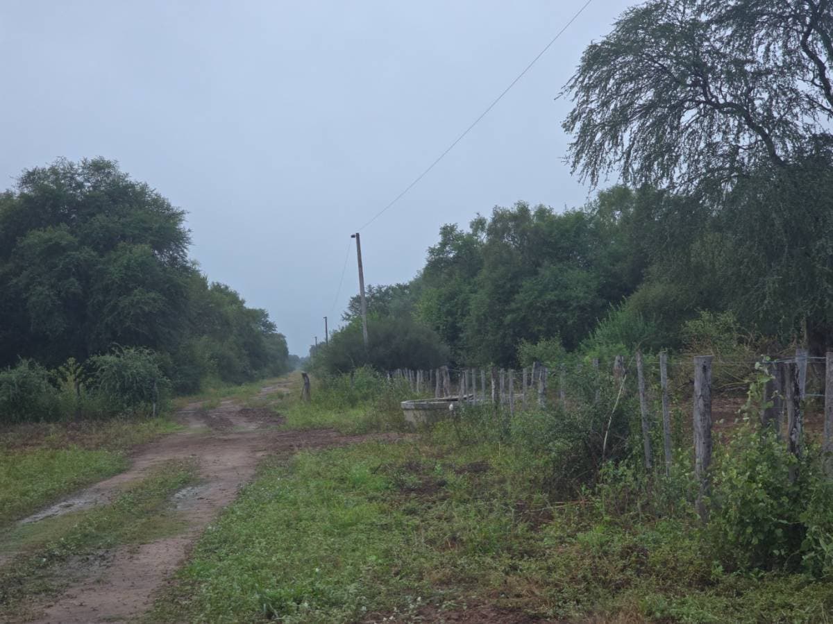 - Estancia 1.918 ha apta agricultura y ganadería - Boquerón — foto 2